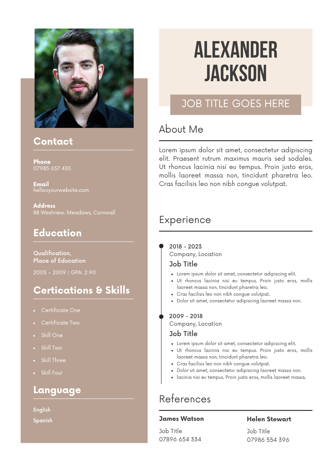 20 Editable CV Templates Pack (Digital Downloads) - Merch And Co