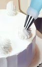 31 Pieces Set of Cake Decorating Piping Tips, Piping Bag and Flower Nail - Merch And Co 