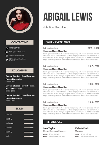 20 Editable CV Templates Pack (Digital Downloads) - Merch And Co 